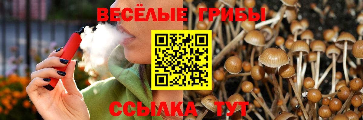Галлюциногенные грибы мухоморы  Вход с VPN  Галлюциногенные грибы Cubensis  Арзамас 